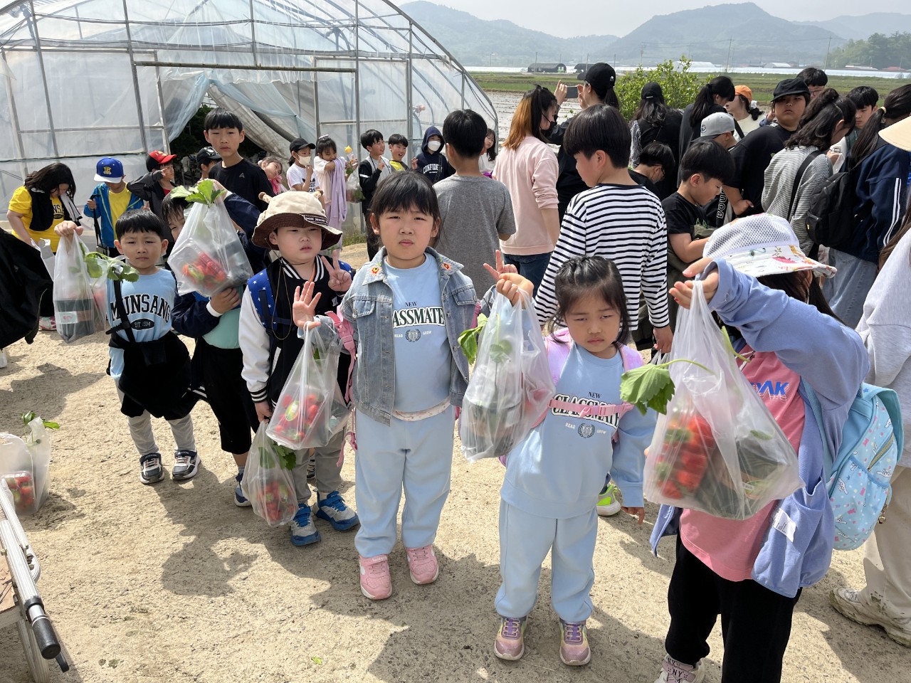 문상초등학교(2024)-딸기농장 체험학습-59241735112.jpg