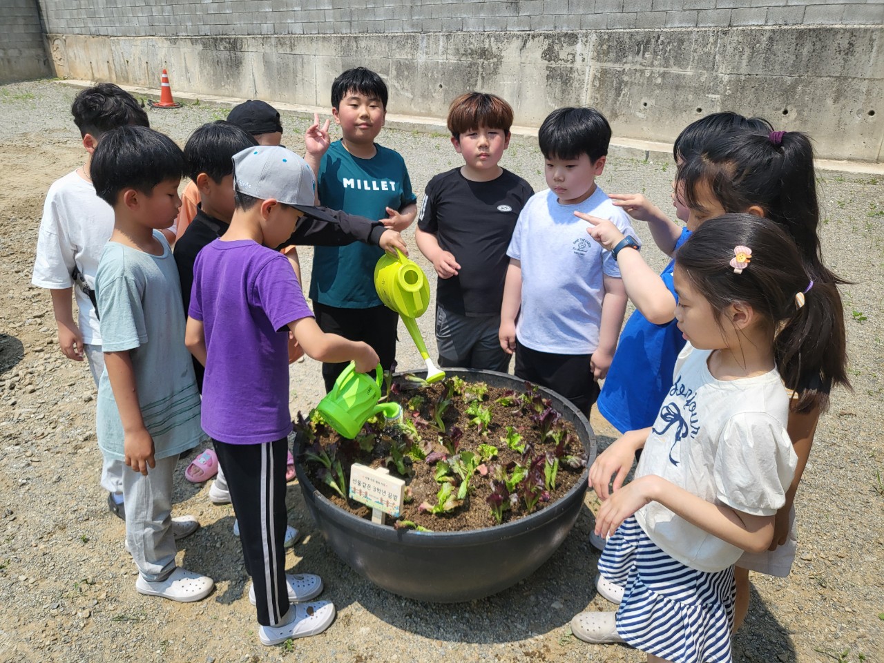 2025. 문상초등학교-학교 텃밭(화분) 체험활동-69297743496